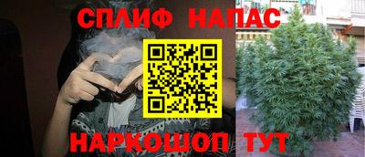 молекула духа Бузулук