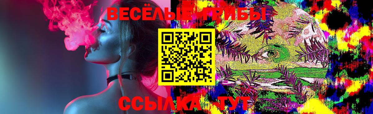 Псилоцибиновые грибы Psilocybe  Вход с VPN  Солнечногорск 